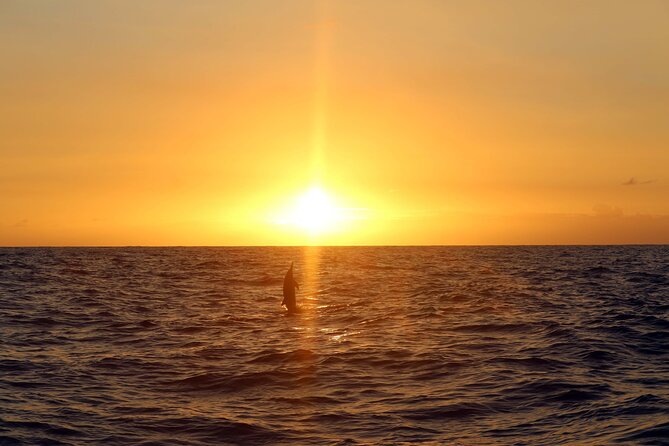 Oahu: Snorkel Sunset Cruise, Dolphin Watch with Hawaiian Buffet - Enjoying a Hawaiian-Style Hot Buffet Dinner