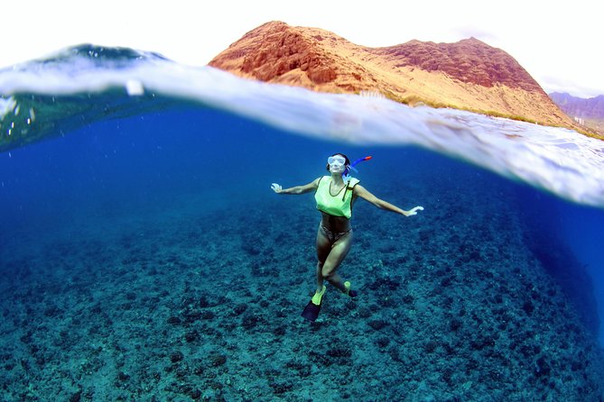 Oahu: Snorkeling and Dolphin Watch Cruise With Hawaiian Buffet - Marine Life Spotting Along Oahu’s Western Coast