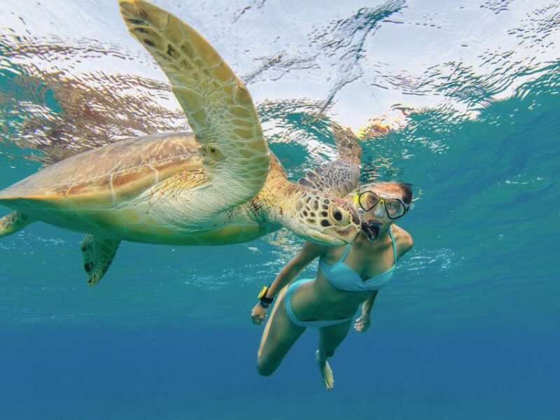 Oahu Snorkeling with Turtles, Water Scooter, Paddleboard - Local Snacks and Refreshments to Replenish Energy
