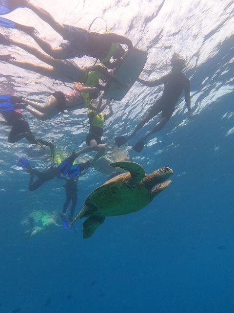 Oahu Snorkeling with Turtles, Water Scooter, Paddleboard - What To Bring and Practical Tips