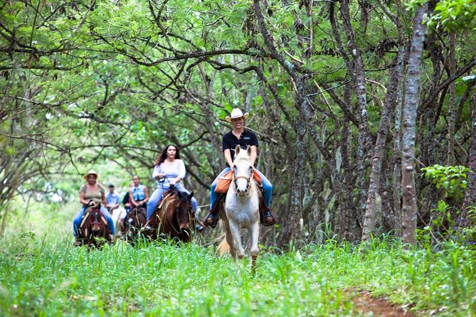 Oahu Sunset Horseback Ride - Key Points