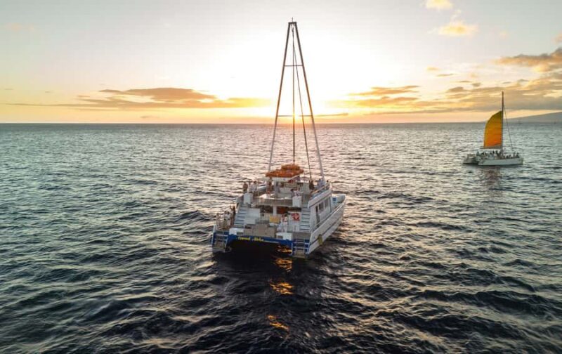 Oahu: Sunset Sail Cruise in Waikiki - Marine Life Encounters and Underwater Viewing