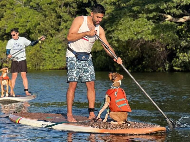 Oahu: SUPDog Experience - Paddle Board with Rescue Dogs - What Makes the SUPDog Experience Special on Oahu?
