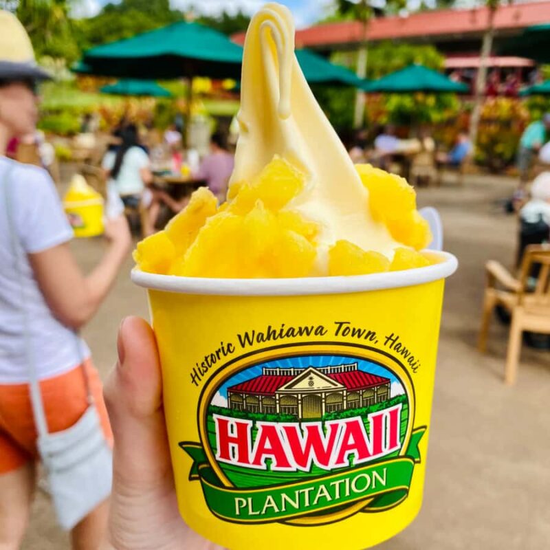 Oahu: The Ultimate Private Circle Island Tour 5-7 Guests - Discover Oahu’s Beauty with a Private, Customizable Tour