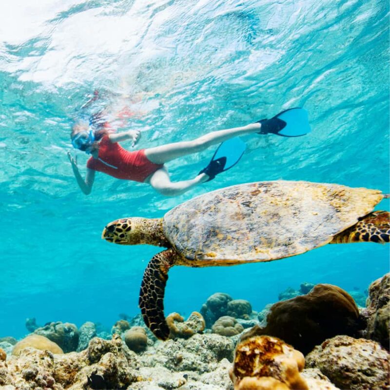 Oahu: The Ultimate Private Circle Island Tour 5-7 Guests - Local Food Stops and Authentic Tastings