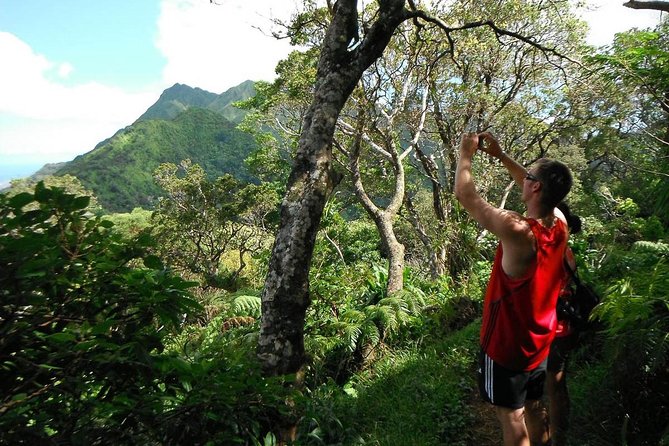 Oahu Volcanic Rainforest Hiking Adventure - Explore the Lush Highland Rainforest of Oahu
