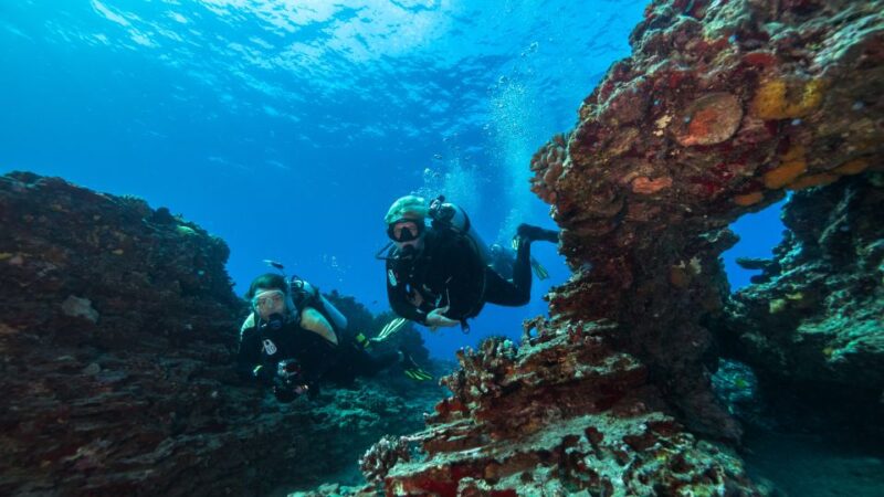 Oahu: Waikiki Discovery Scuba Diving for Beginners - Key Points