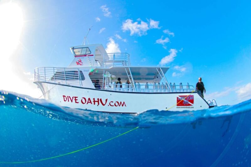 Oahu: Waikiki Discovery Scuba Diving for Beginners - Marine Life Encounters and Underwater Highlights