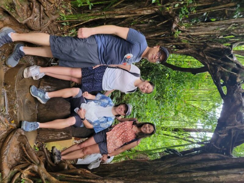 Oahu: Waikiki E-Bike Ride and Manoa Falls Hike - Physical Requirements and Accessibility