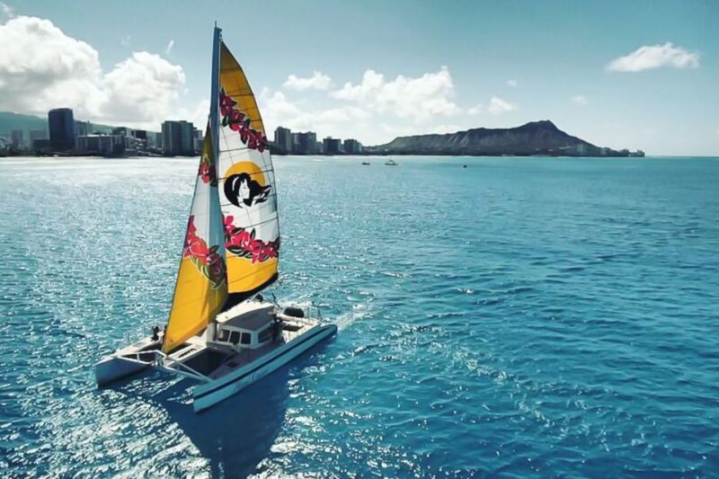 Oahu: Waikiki Eco-Friendly Morning Whale Watching Cruise - The Marine Wildlife You Might Encounter