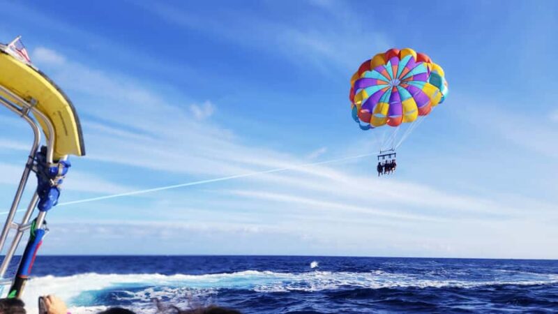 Oahu: Waikiki Parasailing - Encountering Marine Life During Your Flight