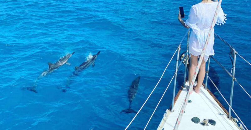 Oahu : Waikiki sailing turtle snorkeling in small groups - Exploring Waikikis Turtle Canyon Sailing and Snorkeling Adventure