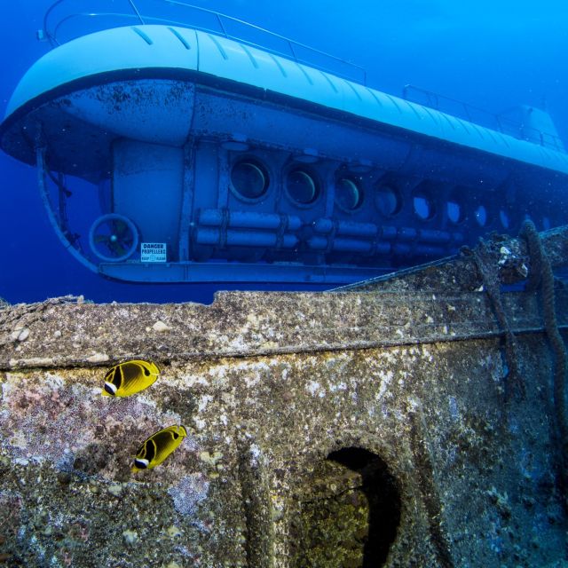 Oahu: Waikiki Submarine Tour - Frequently Asked Questions