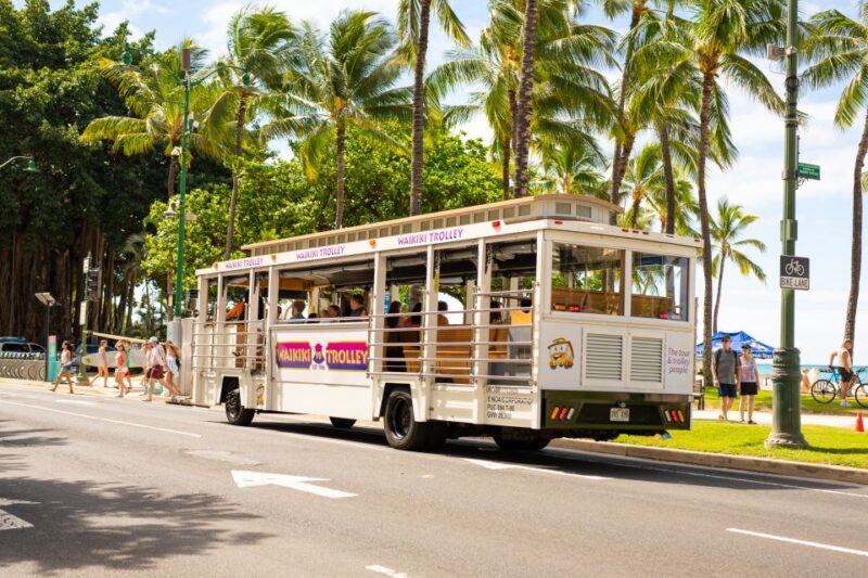 Oahu: Waikiki Trolley Hop-on Hop-off All-Line Pass - Limitations and Considerations
