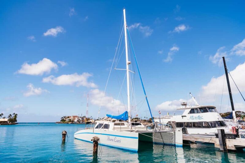 Oahu: Waikiki Turtle Snorkel Sail - The Experience of Sailing and Sunbathing