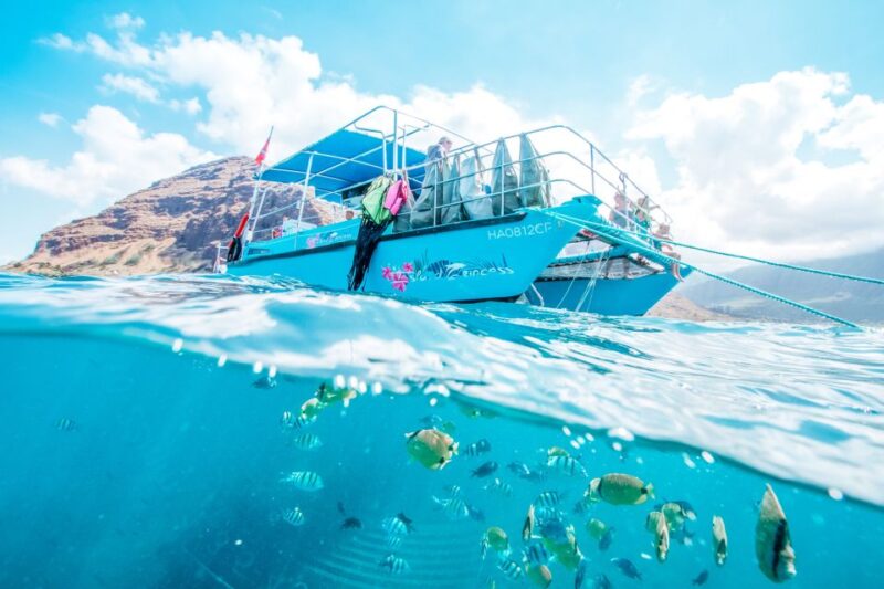 Oahu: Waikiki Turtle Snorkeling Adventure - How This Tour Compares to Other Ocean Activities
