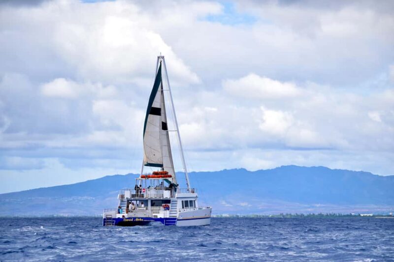Oahu: Waikiki Whale Watching Cruise - Spacious Double-Decker Catamaran for Comfortable Wildlife Watching