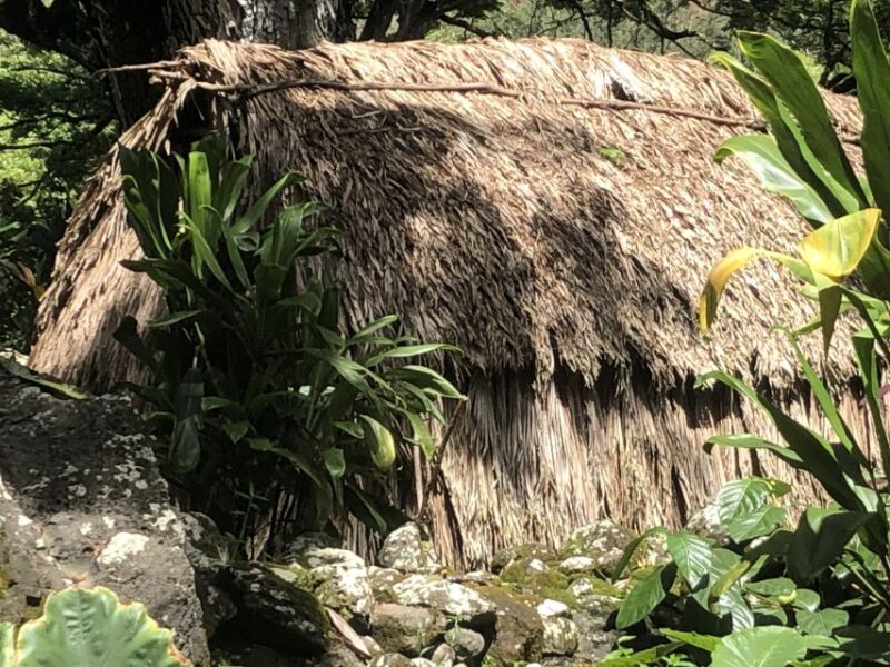 Oahu: Waimea Falls & valley & North Shore day - Practical Details and Logistics