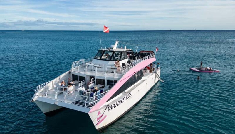 Oahu: Whale Watching Catamaran Tour near Waikiki - Exciting 2-Hour Whale Watching Tour with Guaranteed Sightings Near Waikiki