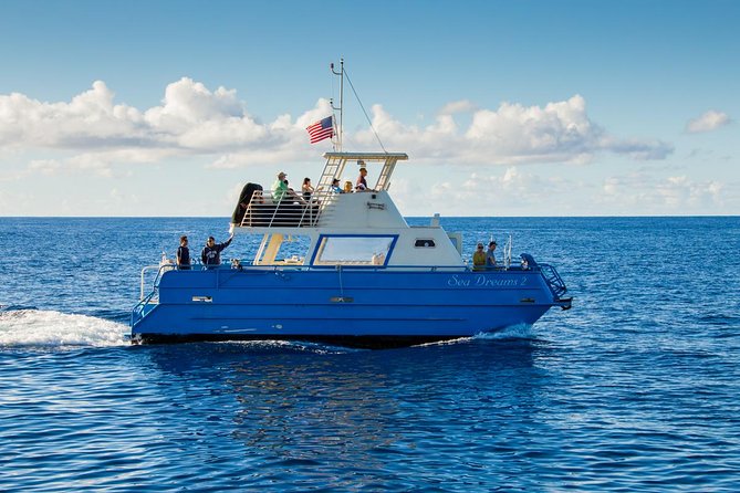 Oahu Whale Watching Excursion - Weather Conditions and Practical Tips