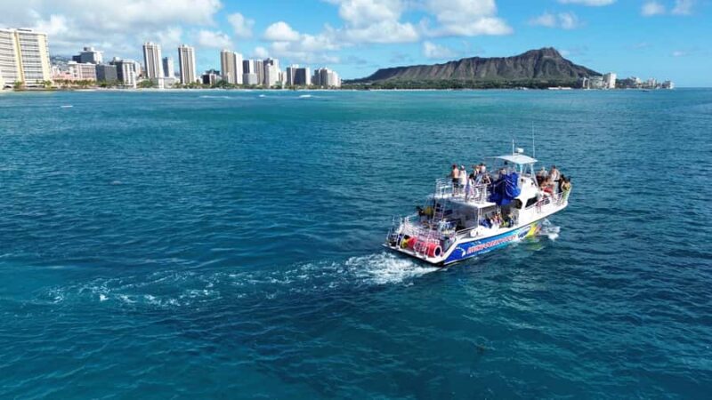 Oahu: Whale Watching Sunset Cruise Whales Guaranteed - Key Points
