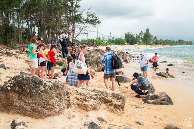 Oahu's Cheapest Circle Island Tour - Key Points