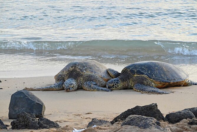 Oahu's Cheapest Circle Island Tour - Exploring Oahu’s Iconic Landmarks: Diamond Head and Halona Blow Hole