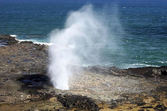Oahu's Ultimate Tour: Dole, Turtle Snorkel, Pali Lookout & More - Discovering Eternity Beach and the Halona Blowhole