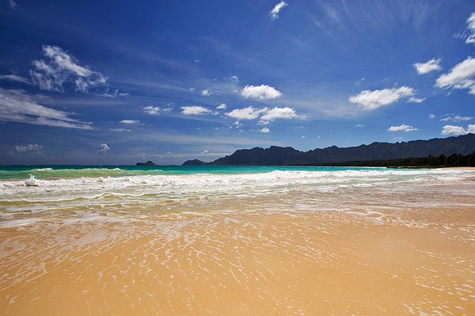 Oahu's Ultimate Tour: Dole, Turtle Snorkel, Pali Lookout & More - Macadamia Nuts at Tropical Farms