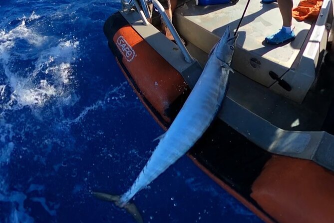 Oahu's Unique Whale Watching and Fishing Charter - Oahus Unique Whale Watching and Fishing Charter: A Close-Up