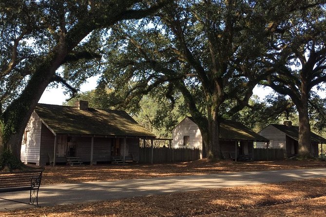 Oak Alley or Laura Plantation Tour from New Orleans - The Cost and Value for Money