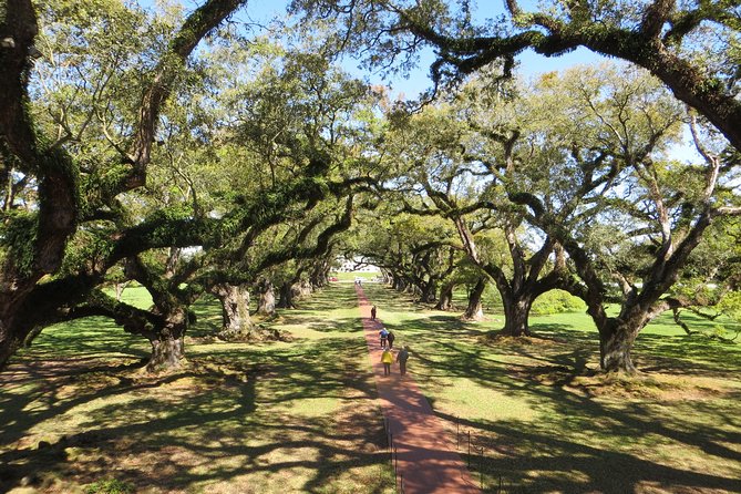 Oak Alley Plantation and New Orleans City Tour - Exploring New Orleans’ Oldest and Most Beloved Districts