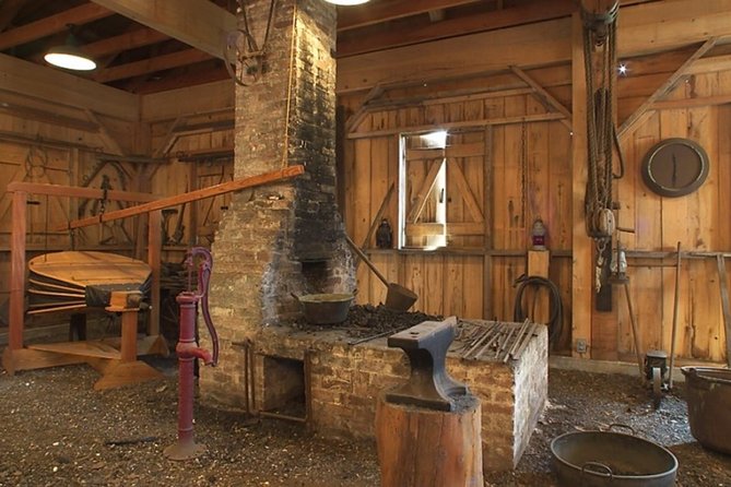 Oak Alley Plantation and Swamp Boat Tour from New Orleans - Wildlife and Nature Encounters on the Swamp Tour