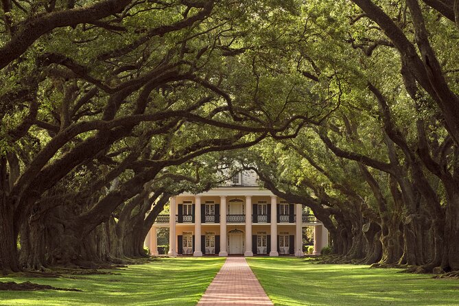 Oak Alley Plantation Half Day Tour - Introduction to the Oak Alley Plantation Half Day Tour