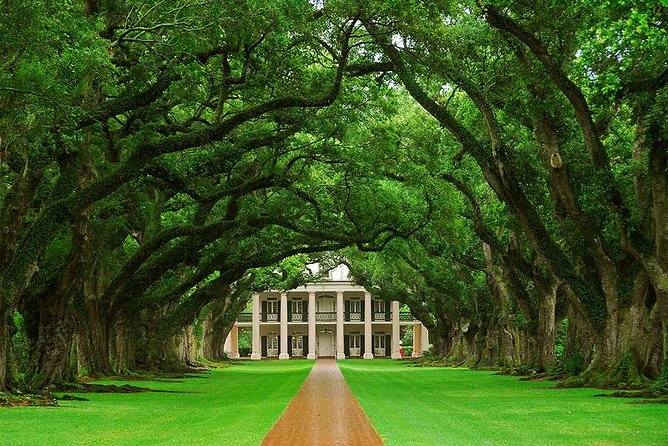 Oak Alley Plantation Half-Day Tour from New Orleans - Discover the Charm of Oak Alley Plantation on a Half-Day Tour from New Orleans