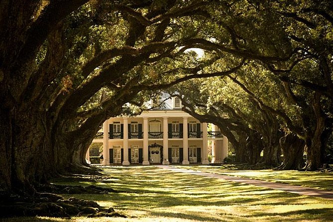 Oak Alley Plantation Half-Day Tour from New Orleans - Practical Tips for Visiting Oak Alley