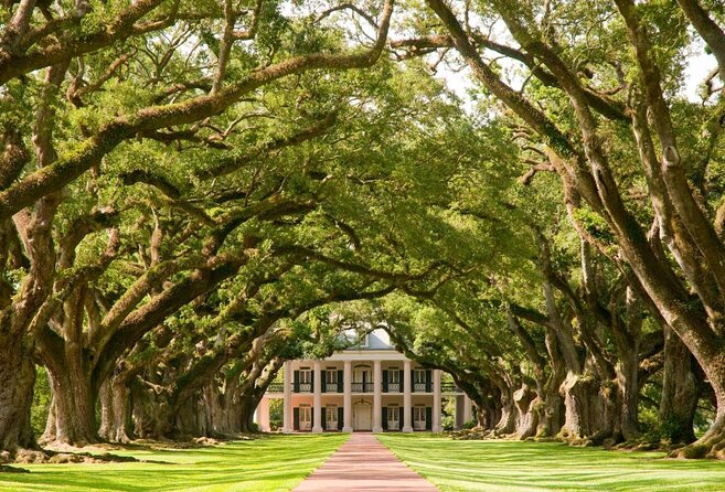 Oak Alley Plantation Tour with Transportation - Discover the Charm of Oak Alley Plantation with Transportation from New Orleans