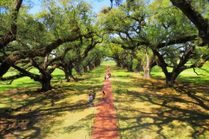 Oak Alley Plantation Tour with Transportation from New Orleans - Food and Shopping Options on Site