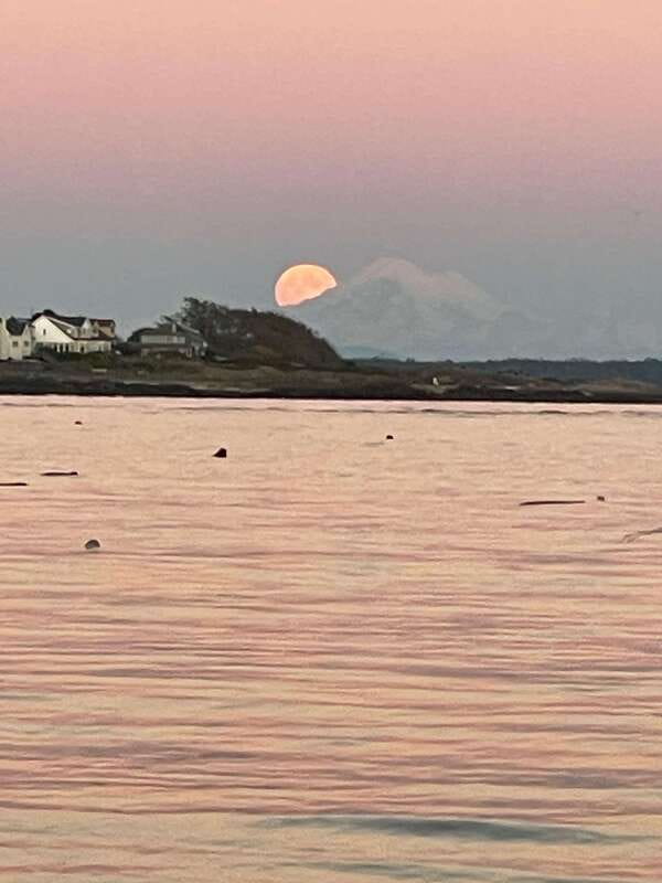 Oak Bay: Full Moon Paddle Experience - Discover the Full Moon Paddle Experience in Oak Bay