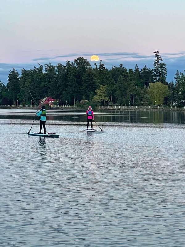 Oak Bay: Full Moon Paddle Experience - Key Points