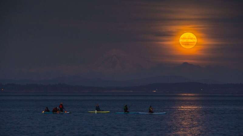 Oak Bay: Full Moon Paddle Experience - The Experience of Paddling Under the Full Moon