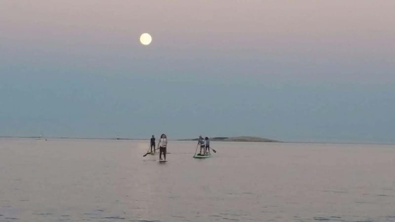 Oak Bay: Full Moon Paddle Experience - The Role of the Guide and Safety Measures