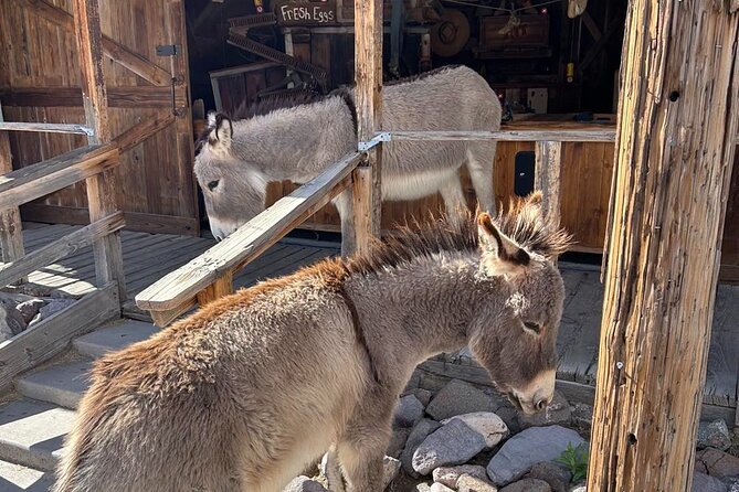 Oatman  Old Western Town RT66 Museum Black Mountain Scenic Drive - Included and Excluded Features of the Tour
