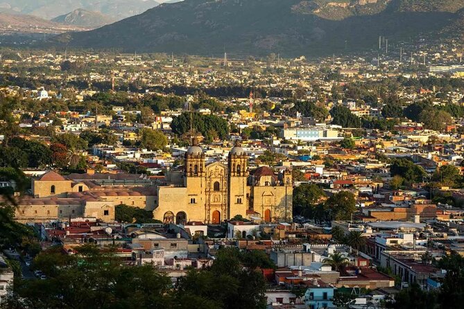 Oaxaca Airport (OAX) Private Transfer to Oaxaca City - Customer Service and Support