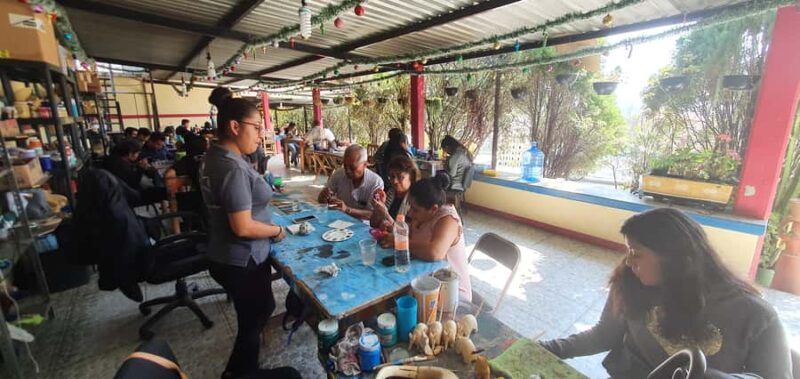 Oaxaca: Alebrije Painting Workshop with Hotel Pick-Up - Key Points