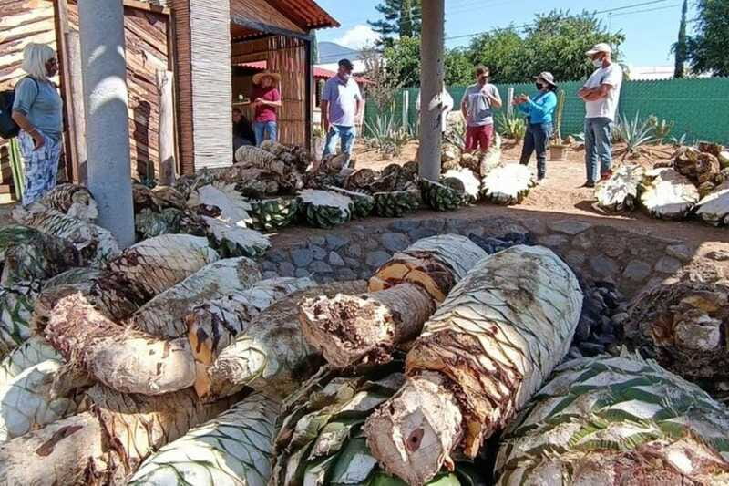 Oaxaca: Ancestral Mezcal Experience - Exploring Ocotlán de Morelos Market and Murals of Santo Domingo