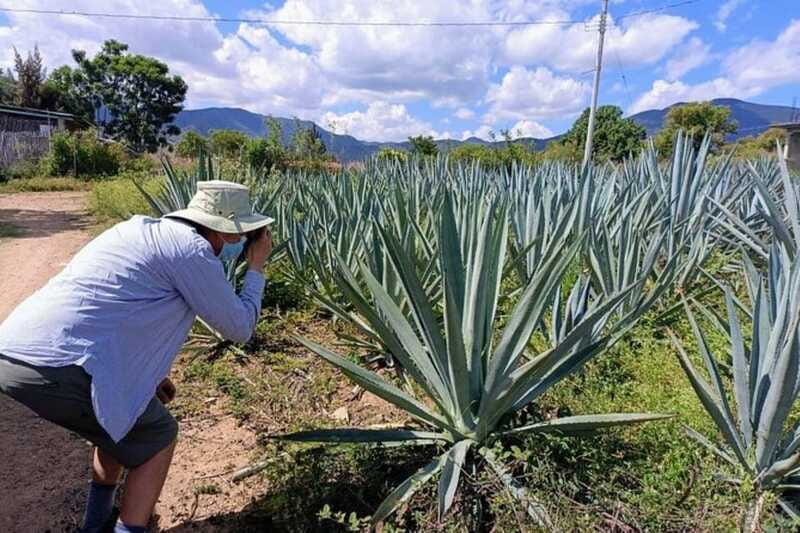 Oaxaca: Ancestral Mezcal Experience - Final Thoughts on the Oaxaca: Ancestral Mezcal Experience
