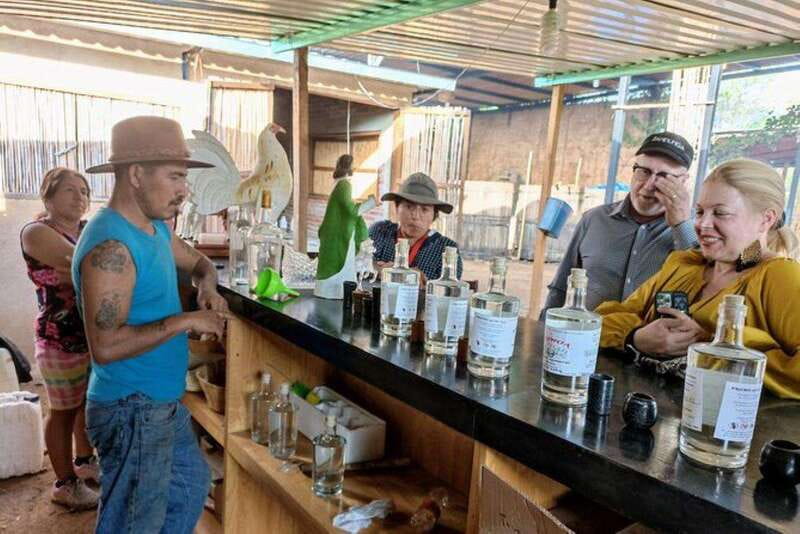Oaxaca: Ancestral Mezcal Tasting in Ocotlan Valley - Comparing This Tour to Other Cultural Experiences in Oaxaca