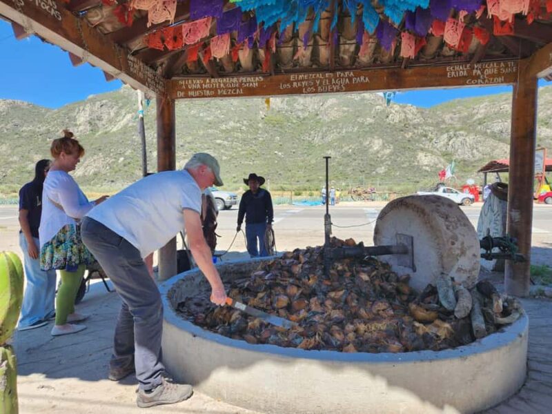 Oaxaca: Barrel-Bus Tour with Pulque, Agave & Mezcal Tastings - Tour of Two Mezcal Distilleries with Guided Tastings