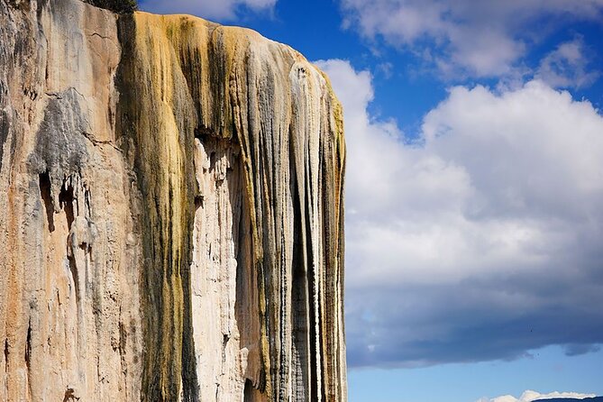 Oaxaca : Boil the water, Mitla and Cocoa (Entries included). - Exploring the Tulé Tree: The World’s Widest Trunk